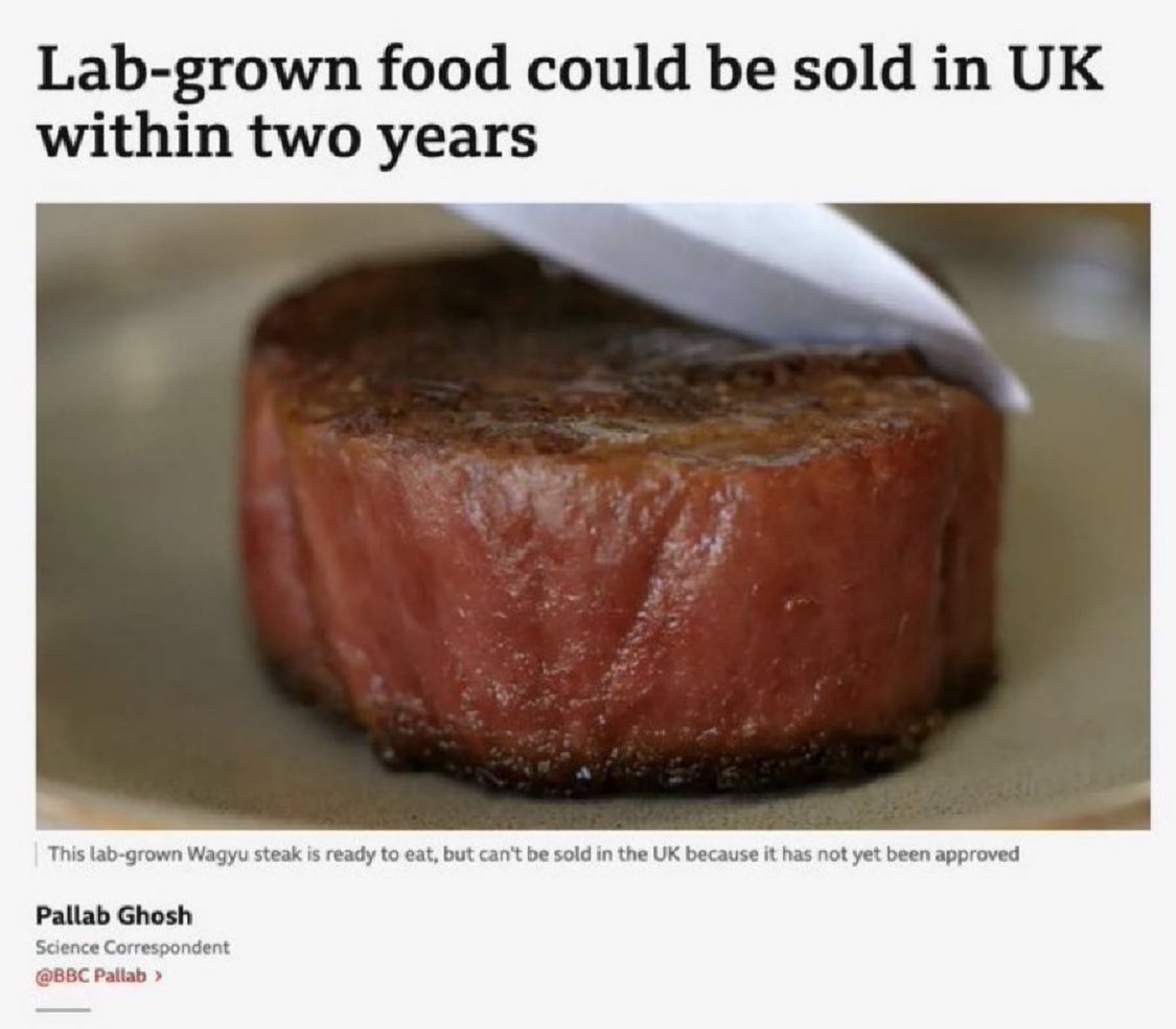 NoFarmsNoFoods's tweet photo. Italy have banned this. The UK government should do the same. Fresh food from local farmers should be the priority. https://t.co/xlYbjEM3bp