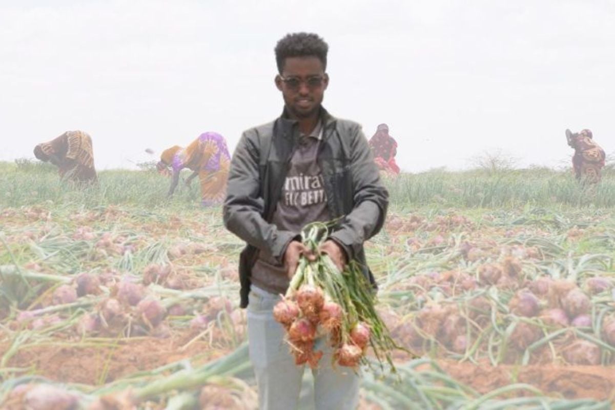 NTV Kenya tweet media