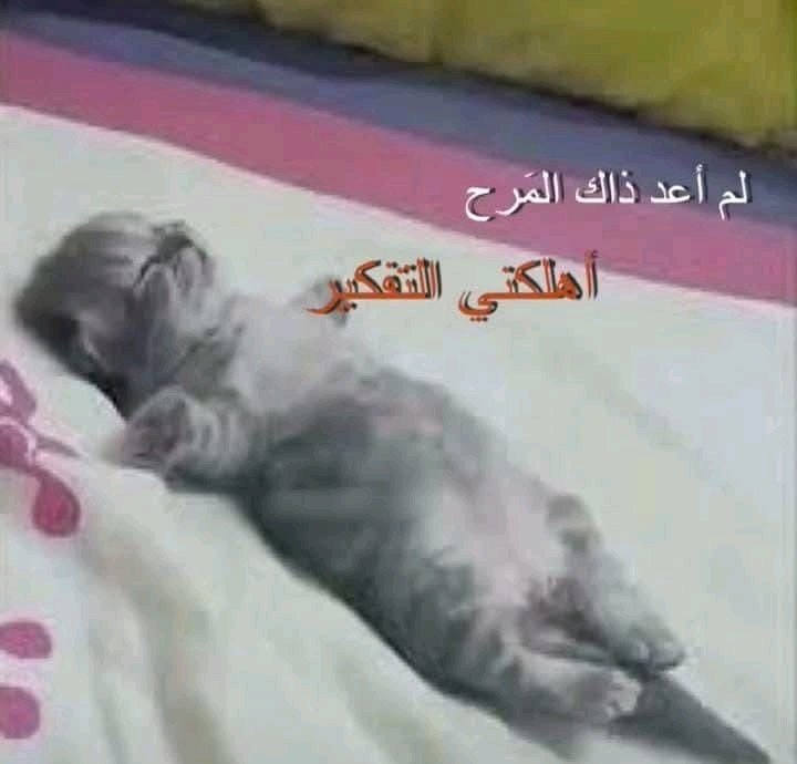 عٓ (@abdel_rahman08) on Twitter photo 