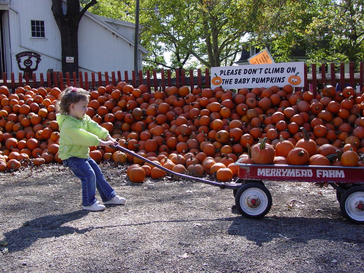 My daughter picked only a few pumpkins.
Still, her wagon was almost too heavy to pull.

That moment says everything about leadership.

This week’s newsletter: The Pumpkin Problem.
Why focus isn’t the fix, and what actually is.

leadershipadvantage.xyz/posts/when-foc…