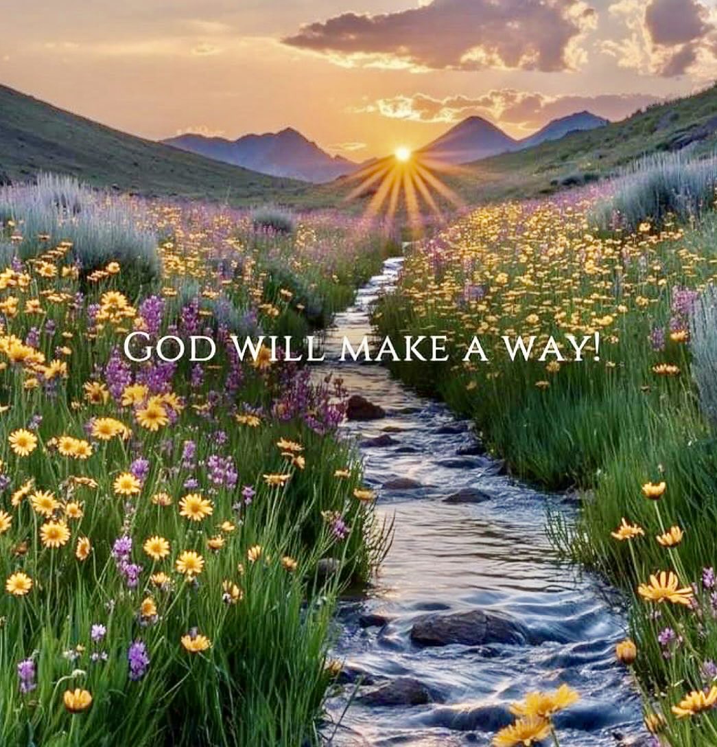 Teresa42254207's tweet image. Ref Joel 2:21 Fear not, O land; be glad and rejoice: for the Lord will do great things.K.J.V.