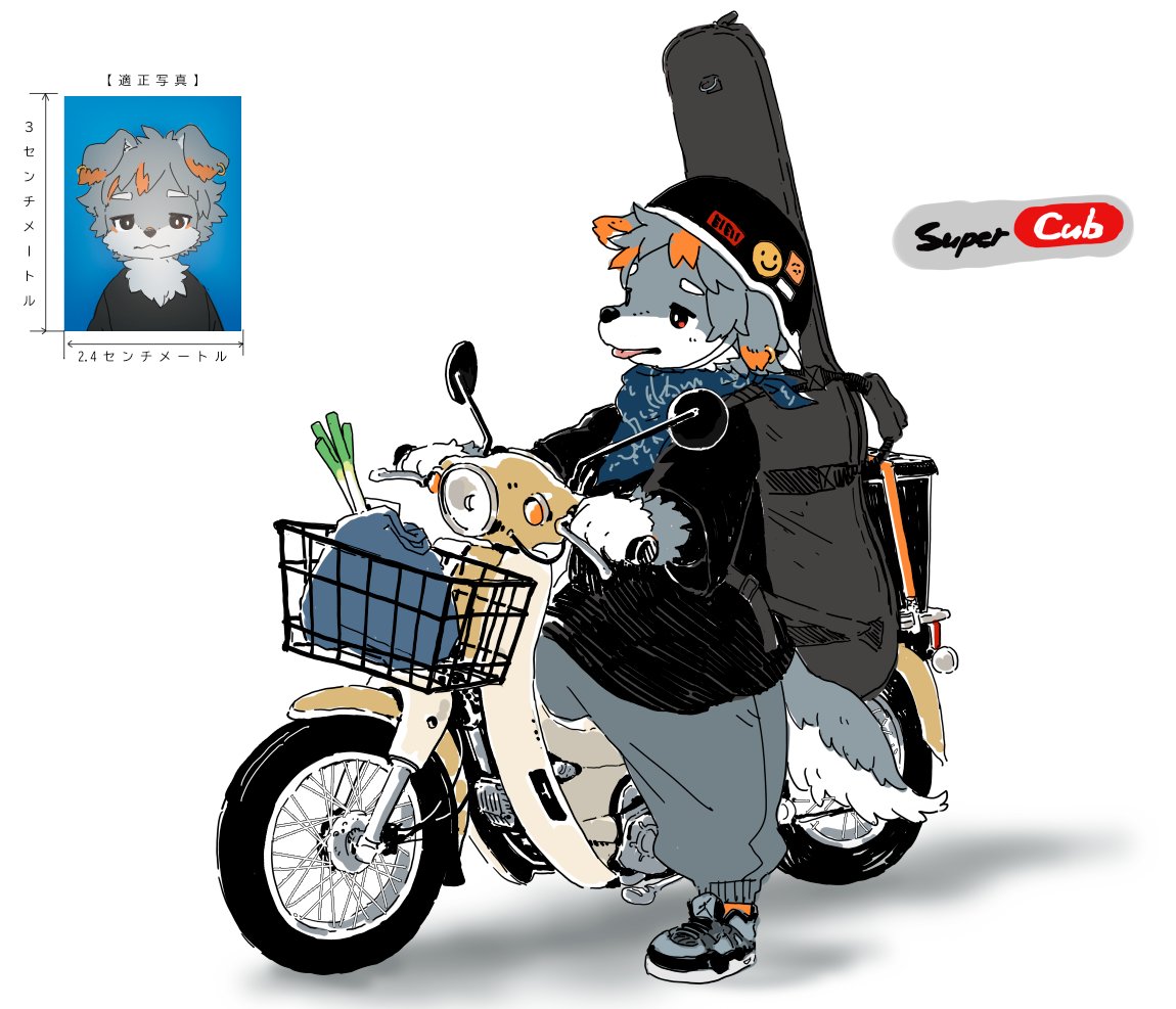 そのうちスーパーカブ買って小型二輪免許とる画像