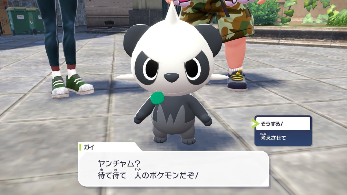 最初のポケモンはヤンチャムで