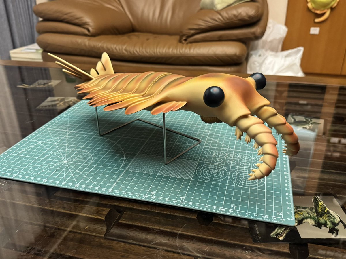 アノマロカリス　「NHK 生命 40億年はるかな旅」復元モデル NHKスペシャル 生命40億年はるかな旅 アノマロカリス 復元モデル NHK