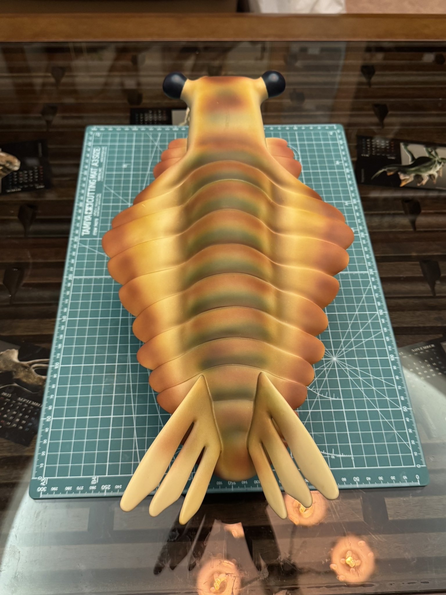 JUN様 250607 Music Core Jun Fancam - . 呢個挑染好似布偶貓🥹真係好靚由