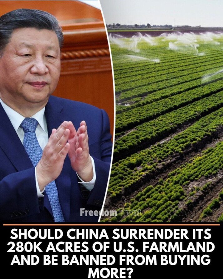 <a href="/MAGAARMY_/">MAGA ARMY</a> Confiscate all Communist Chinese-owned farmland in the United States as reparations for COVID-19! Encourage all other countries to do the same, especially with Belt &amp; Road projects. FAFO! America First! 🇺🇸
