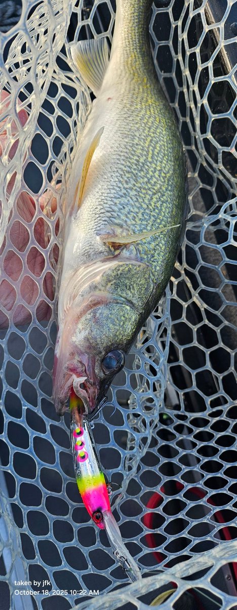 Jim Knight tweet media