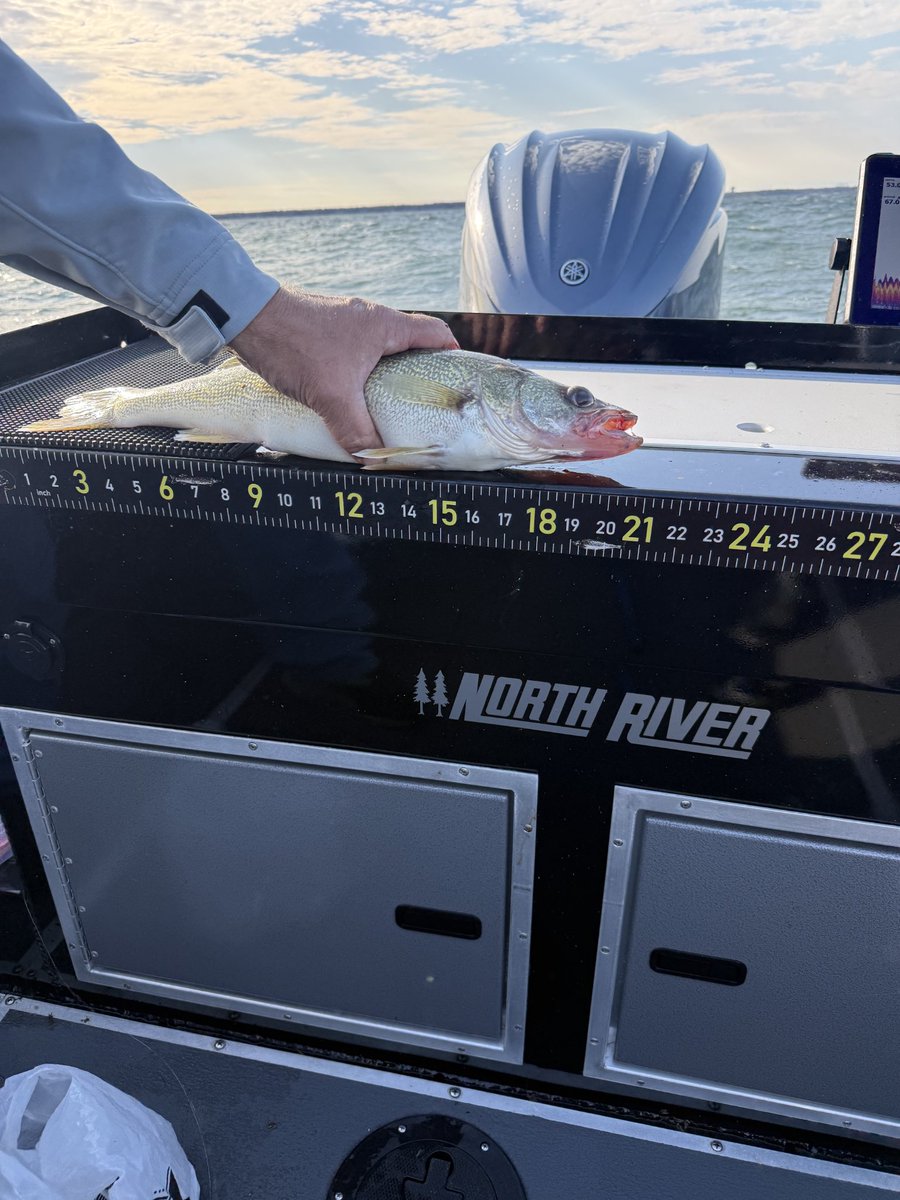 Jim Knight tweet media