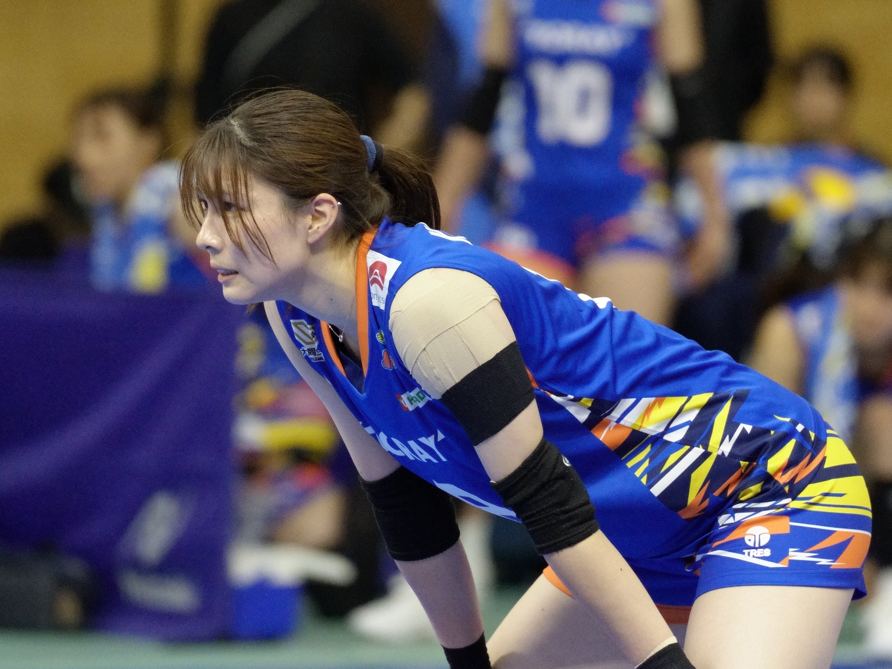 【計10点セット】 東レアローズ滋賀 グッズ 小山愛実 他多数 女子バレー 女子バレー 小山 愛実 東レアローズ滋賀 2024-25大同生命SV