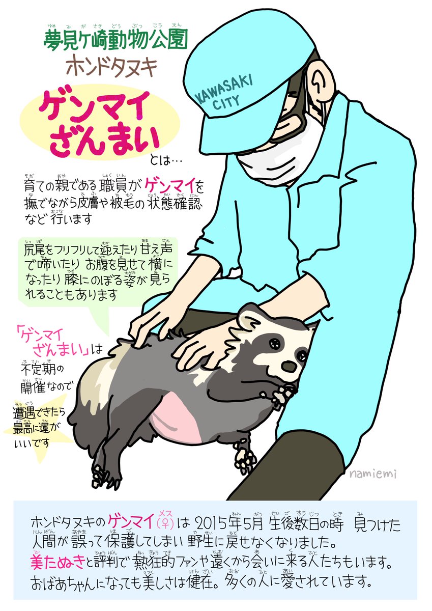 namiemi24618's tweet image. 新作  #夢見ヶ崎動物公園 #ホンドタヌキ #ゲンマイ #ゲンマイざんまい