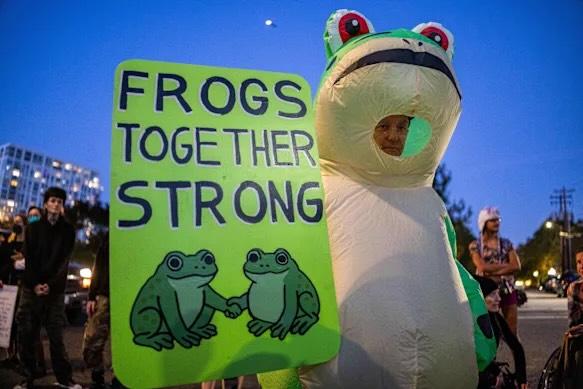 RealMiBaWi's tweet photo. #NoKings = United we stand

From Melbourne via Milan and Dublin to Portland ...  Frogtifa is everywhere. Happy #noKingsDay https://t.co/bdO27bBYiQ