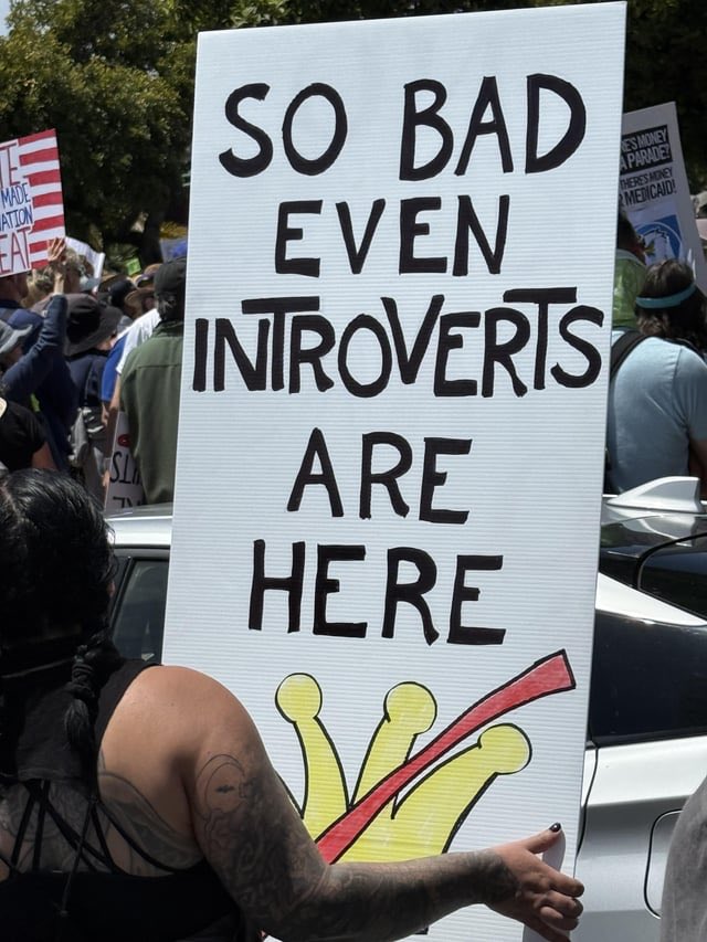 My favorite no kings protest sign!