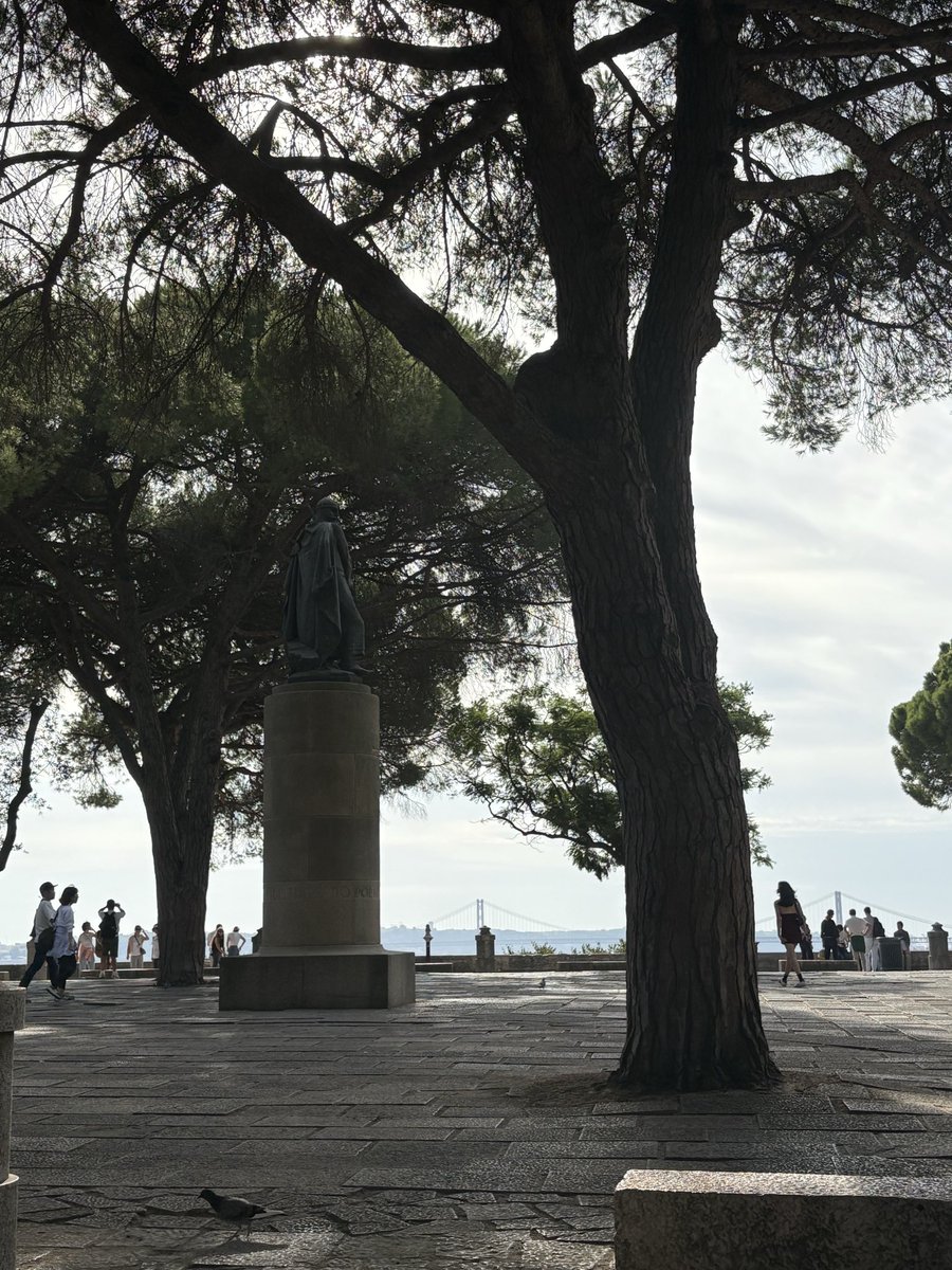 Nicola Di Anselmo tweet media