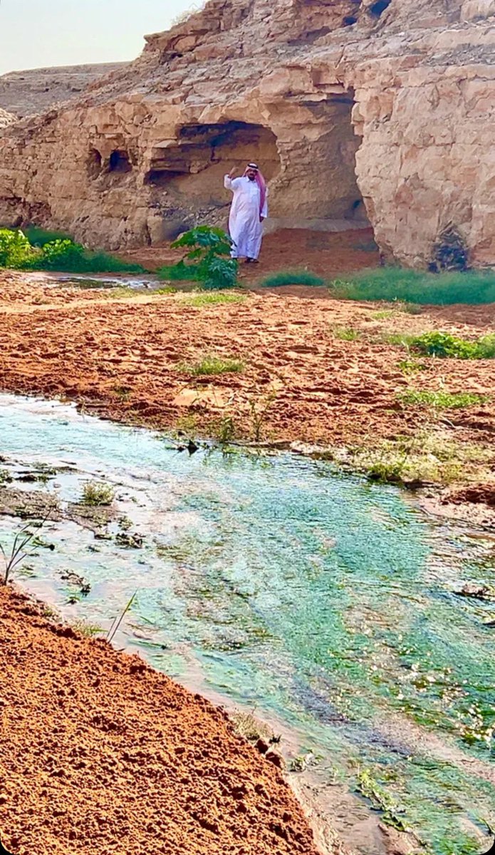 abonaifmk's tweet photo. #عبدالعزيز_بن_فهد

كنك تقول لطالب الفزعه تعال
 عن شمس والا خوف ولا من دهر

انا الجبل وانا المطر وانا الظلال
  ارقد بامان وظل واشرب من نهر https://t.co/wUTbn1qSGi