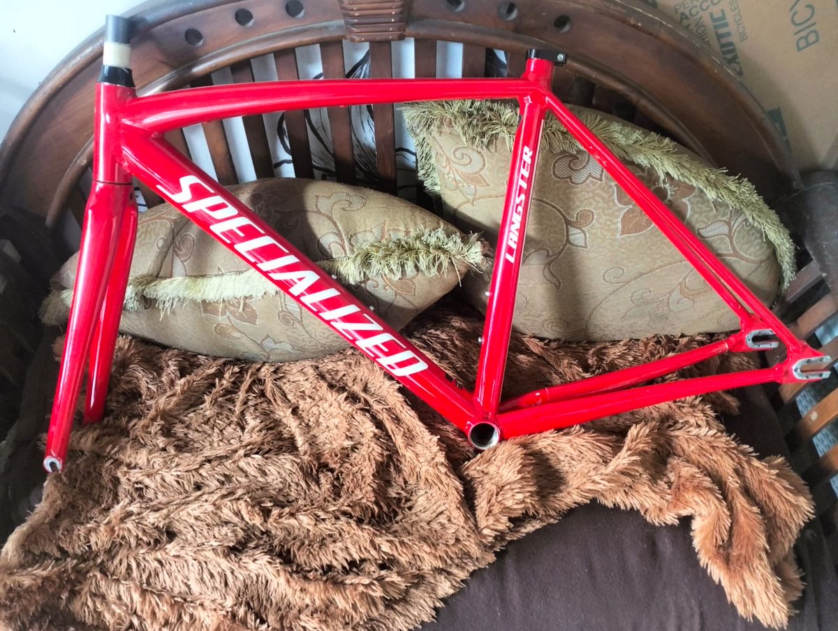 andreanyudhars tweet media