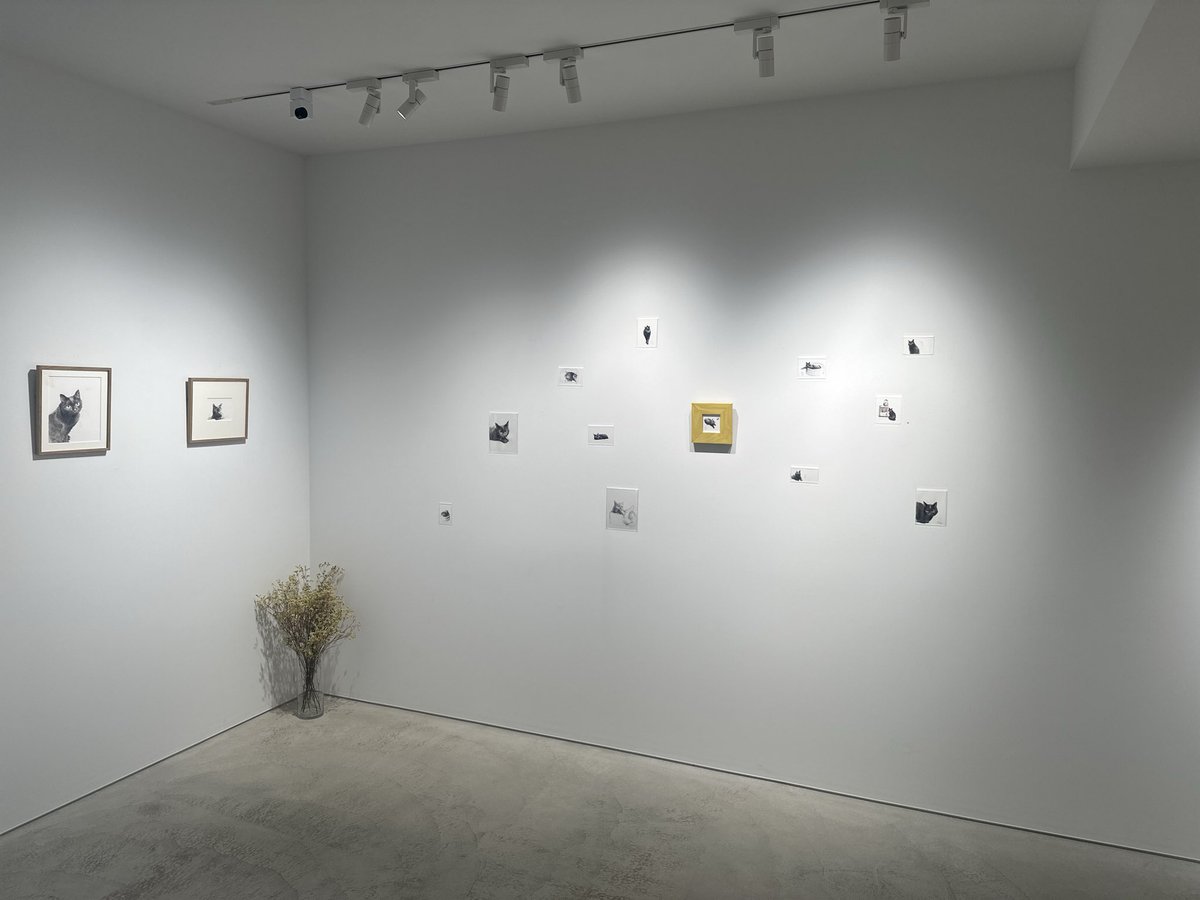 石田淳一 Junichi Ishida (@ponpostpon) / Posts / X