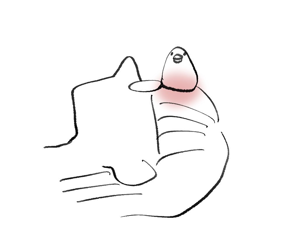 頭痛い時インコここに乗せると和らぐからよくお願いしてる
