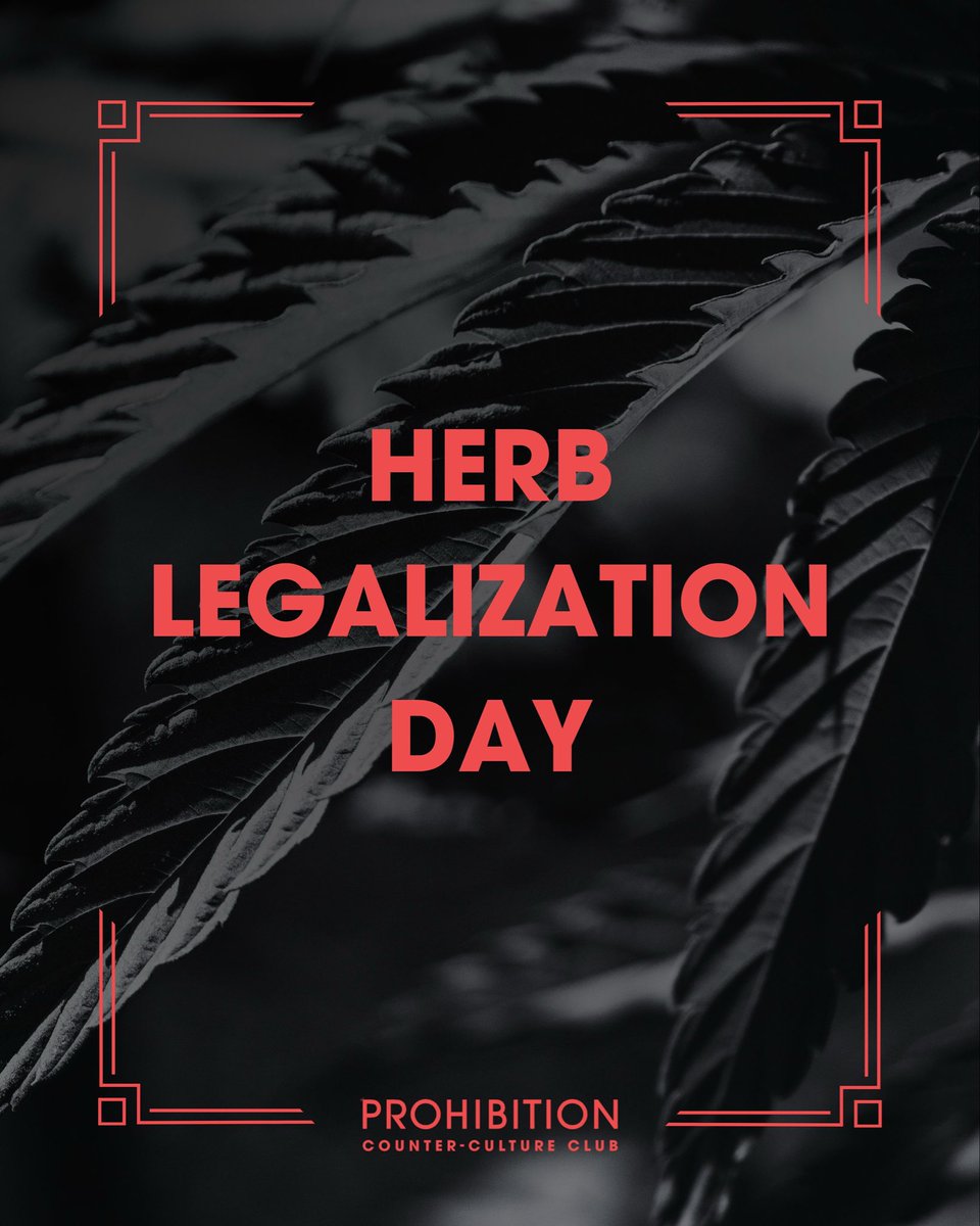 PROHIBITION tweet media