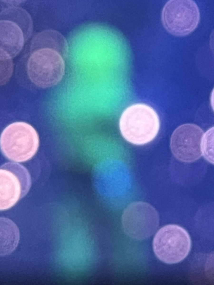 honeyburntlips's tweet image. my camera repeatedly did not want to focus on n2 so here’s blobsey!