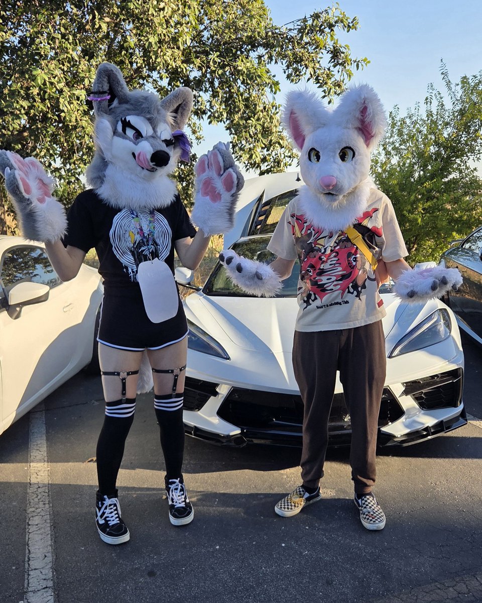 Me and <a href="/Zwoop3/">Zwoop!</a> run this town #FursuitEveryday