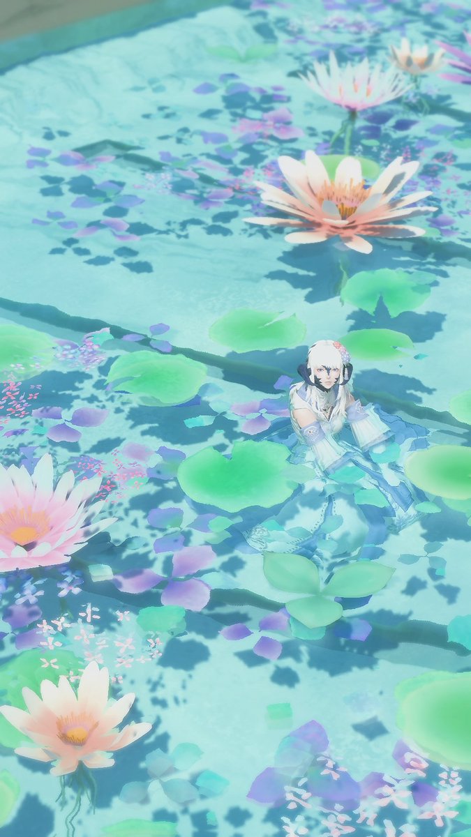 Cheese__Udon's tweet photo. 최근엔 드림주 양으로 돌아와서 이것저것 찍었답니다... https://t.co/Na4BYJNZDi