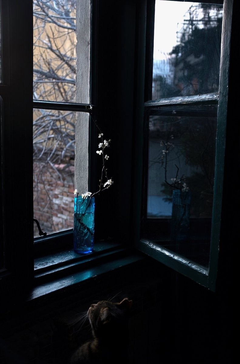 .

“I am certain of nothing
but the holiness of the heart's affections,
and the truth of imagination.”

― John Keats
.

Katia Chausheva