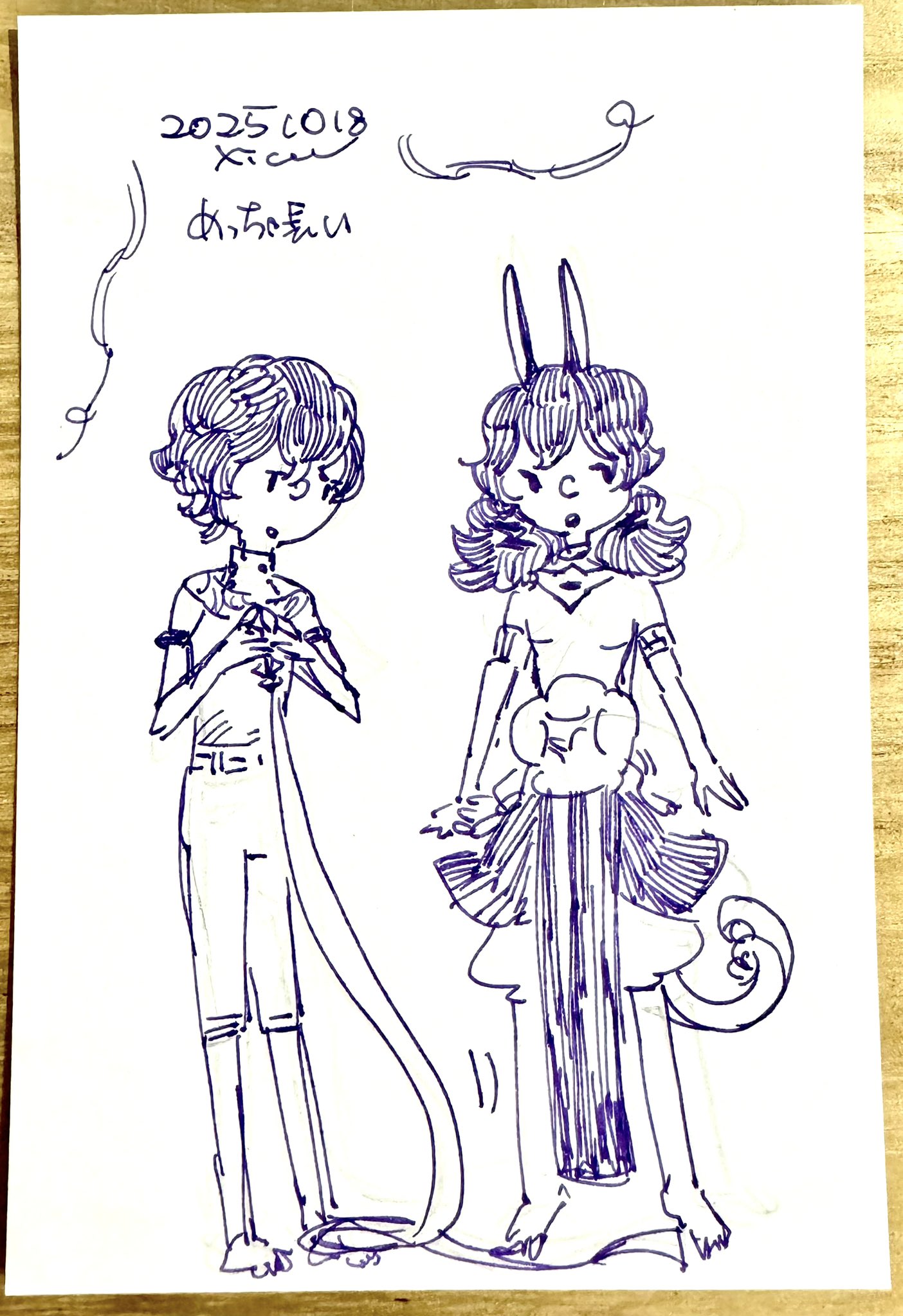 ピィーすけ様　御予約　他の方は御遠慮ください maxresdefault.jpg