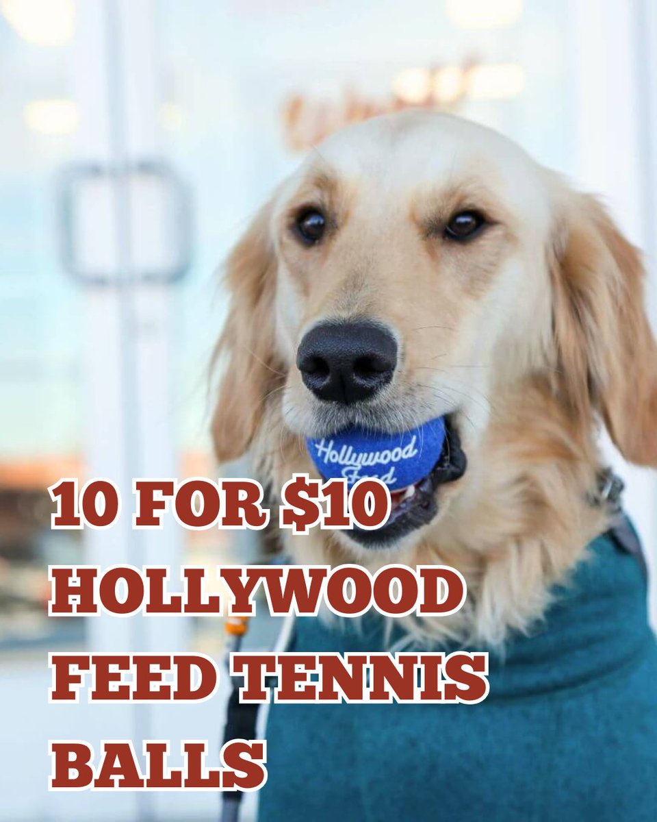 HWFeed's tweet image. 🚨 National Fetch Day Alert! 🚨 Time to stock up and leverage these deals for maximum pup happiness: 🎾 10 Hollywood Feed Tennis Balls for $10 💪 20% Off Tuffy&apos;s Dog Toys 🎄 BOGO 50% Off Holiday Toys 🐘 25% Off all Mammoth  

#FetchDay #DogDeals #PetSupplies