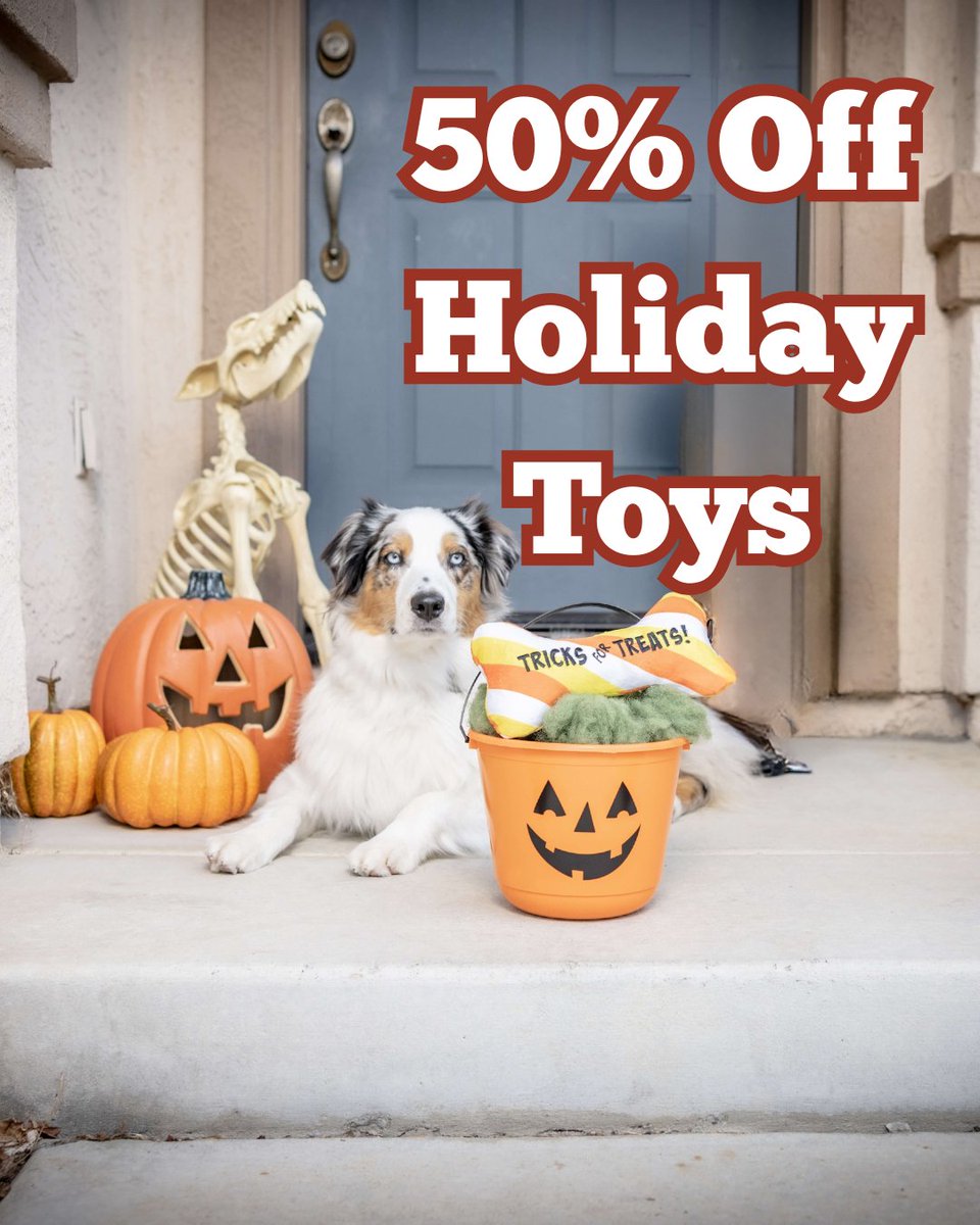 HWFeed's tweet image. 🚨 National Fetch Day Alert! 🚨 Time to stock up and leverage these deals for maximum pup happiness: 🎾 10 Hollywood Feed Tennis Balls for $10 💪 20% Off Tuffy&apos;s Dog Toys 🎄 BOGO 50% Off Holiday Toys 🐘 25% Off all Mammoth  

#FetchDay #DogDeals #PetSupplies