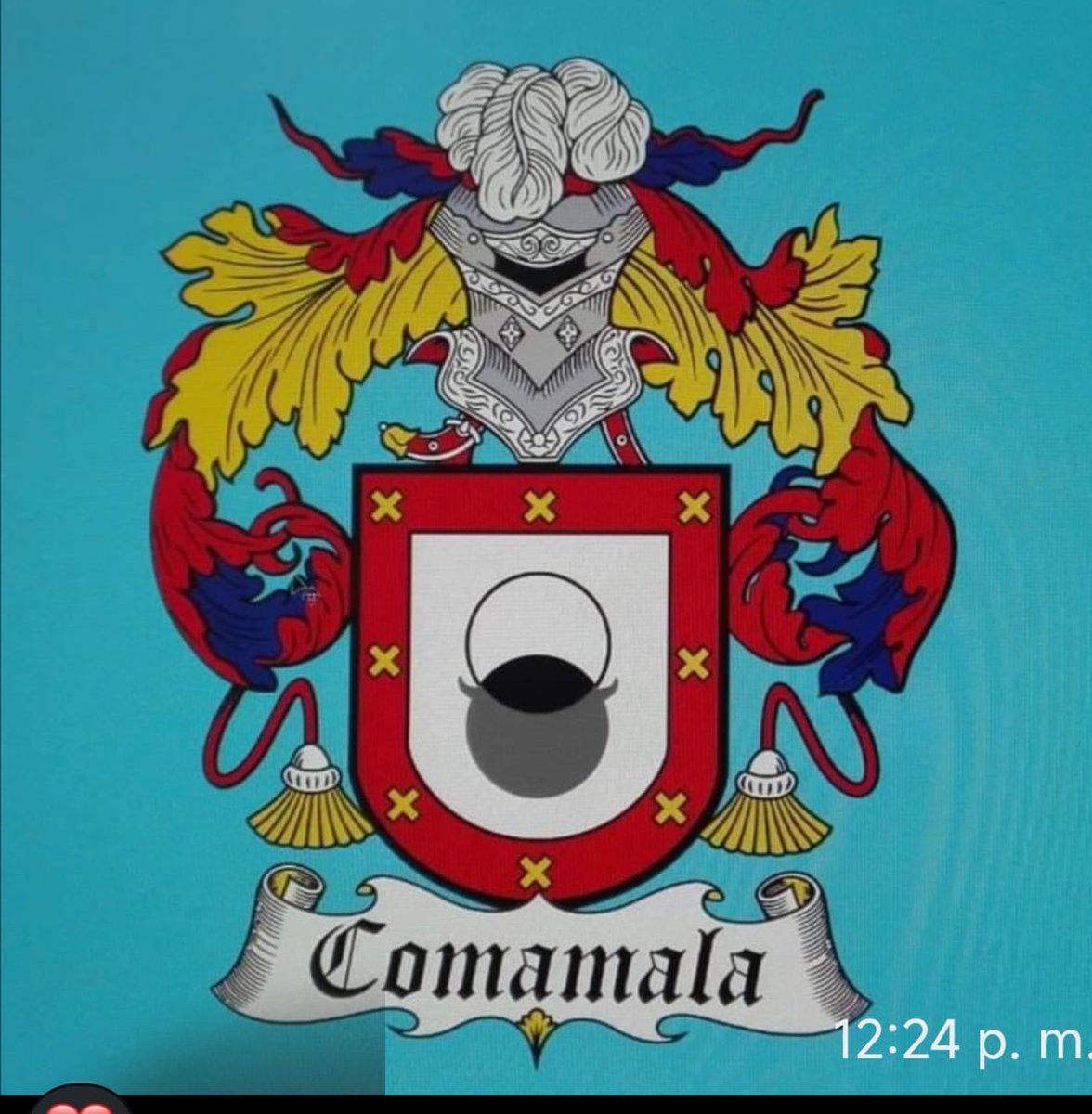 El escudo de mi familia catalana, del 1600.. impresionante!!!