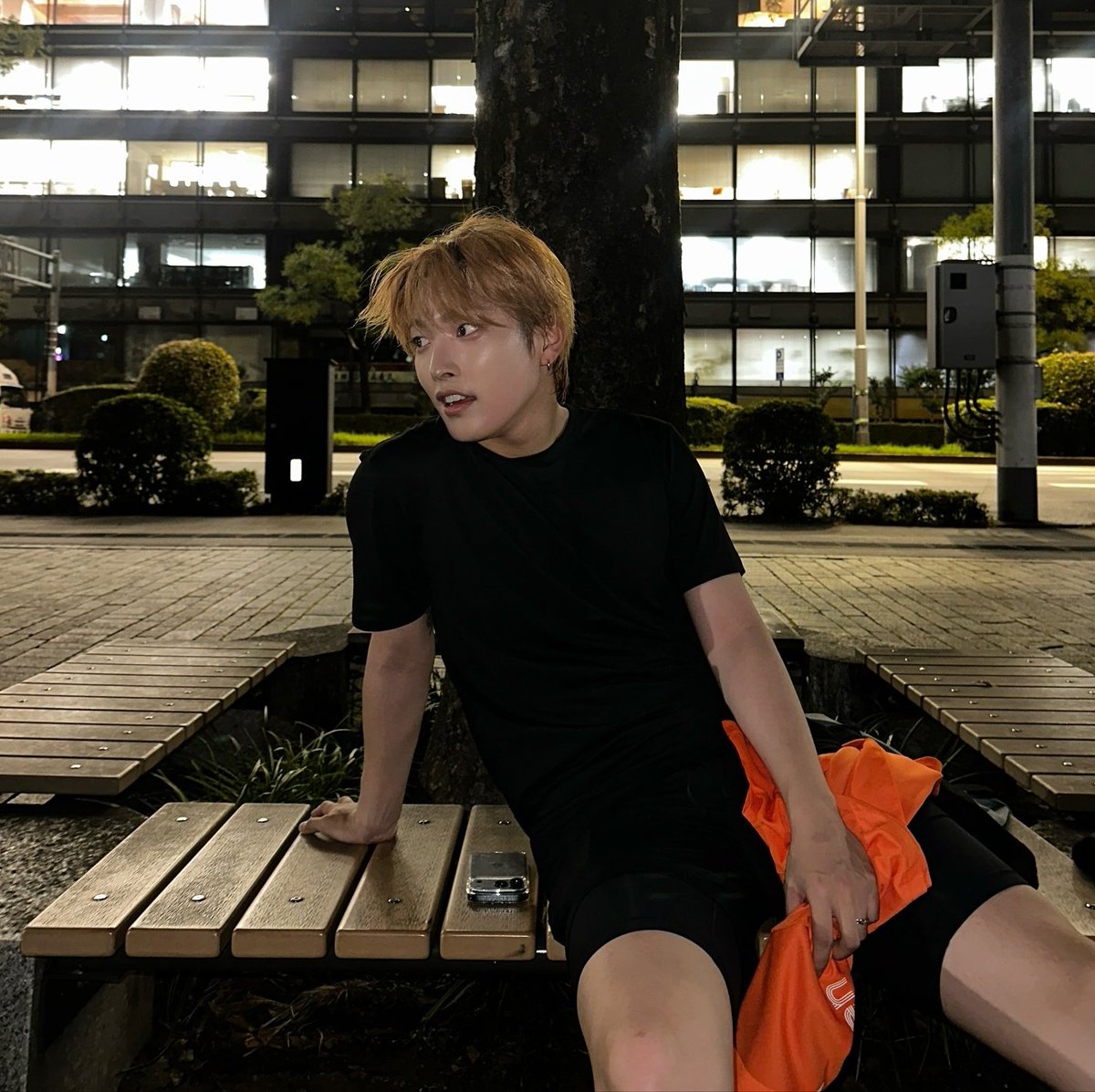 maru 🦝 tweet media