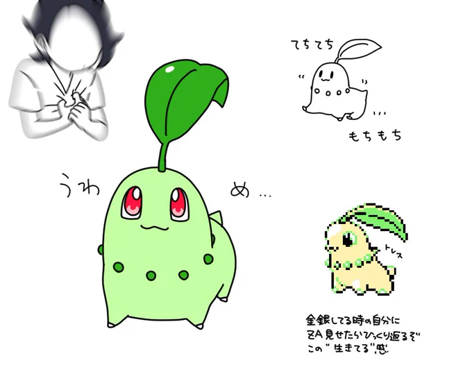チコリ 