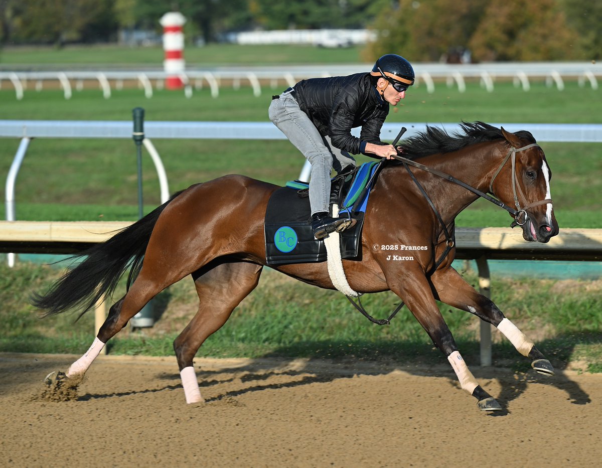 Frances J Karon tweet media