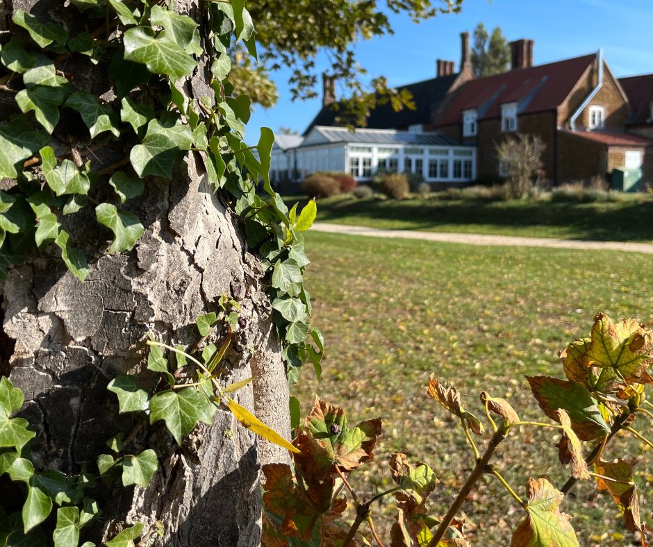 Crisp air, golden gardens, cosy vibes 🍁✨ November is perfect for a quiet escape, dinner, or drinks by the fire at Heacham Manor.

👉 Book your stay: heacham-manor.co.uk