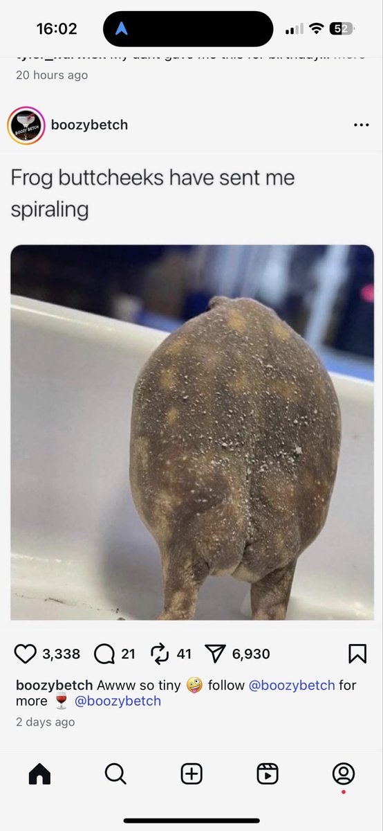 Nosferatu (👁️🐸🧙‍♂️) tweet media