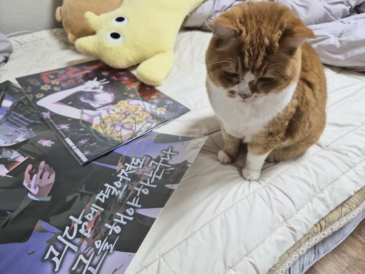 weed0246's tweet image. 어떻게 하면 자연스럽게 자랑할가 고민하는 나와
그저졸린 고양이