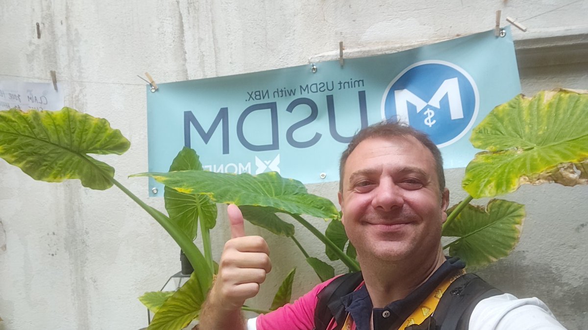 USDM from MONETA <a href="/USDMOfficial/">USDM on Cardano</a>