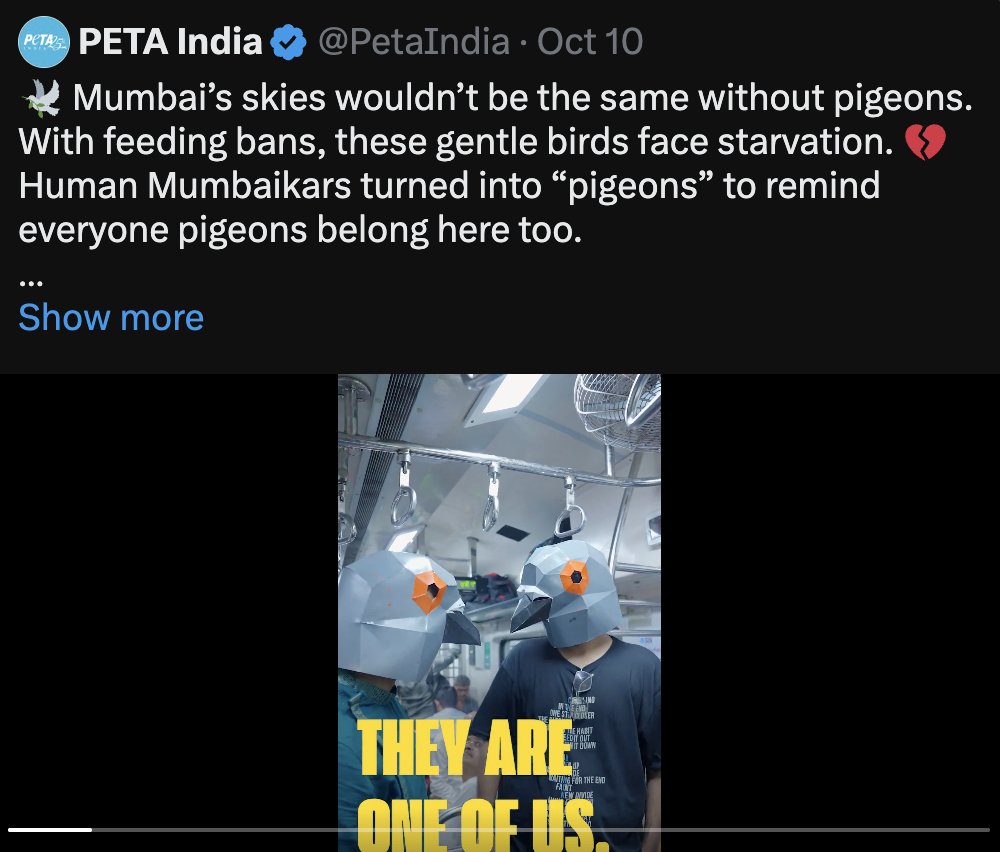 Pigeons are not one of us. 

They are a foreign bird species introduced to India by Arabs and Portuguese in the medieval times. And increased in population by the Mughals for 'Kabootarbazi', their elite cruel sports, and imperial messaging. 

Further, Pigeons transmit diseases