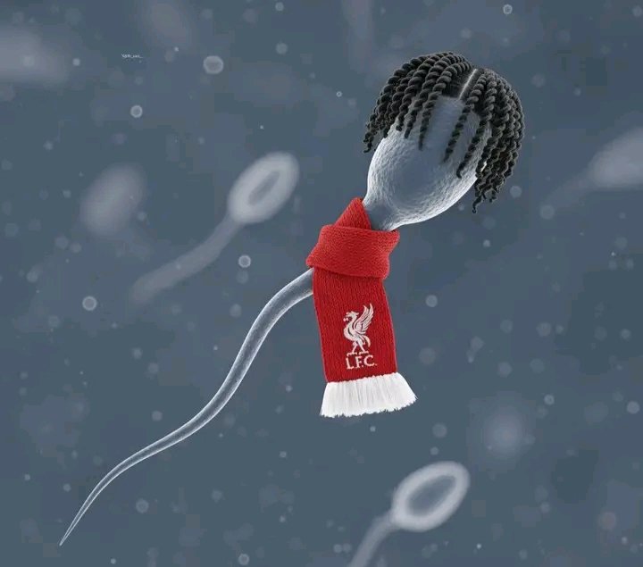 FTsehaya's tweet image. Rio ngumoha the last time man united won at Anfield

Lmaoooo😭