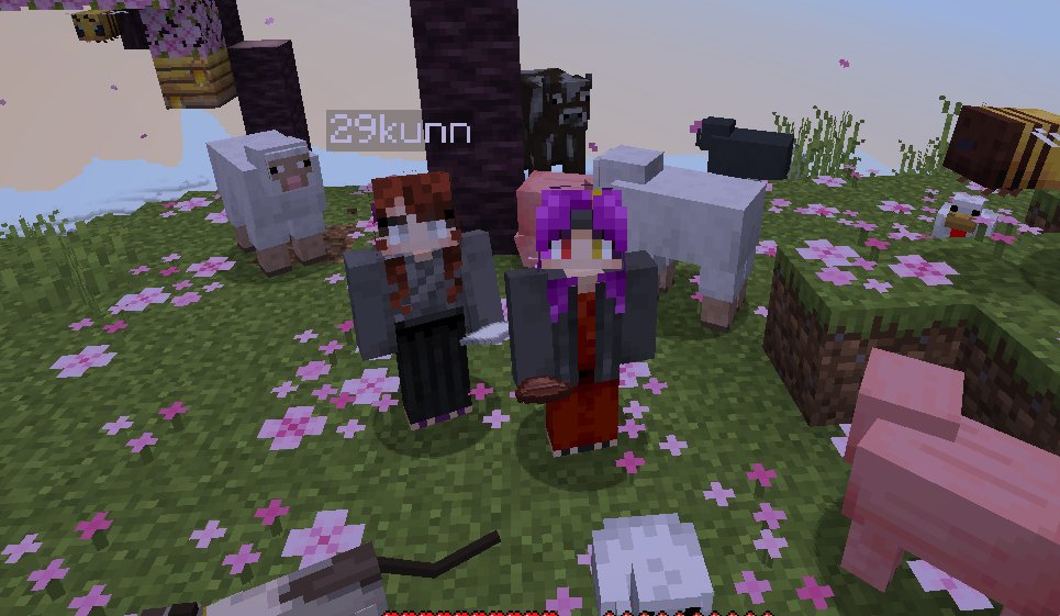 えんしゅう　マイクラへ降り立つ