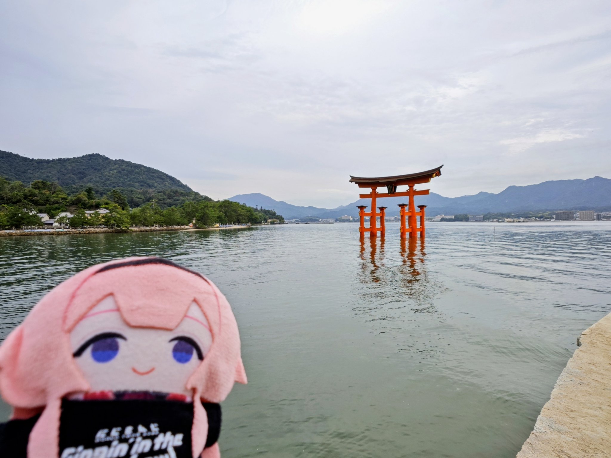 紅葉 プロフ必読さん 確認用 とらぴ改めニャントム on X: 