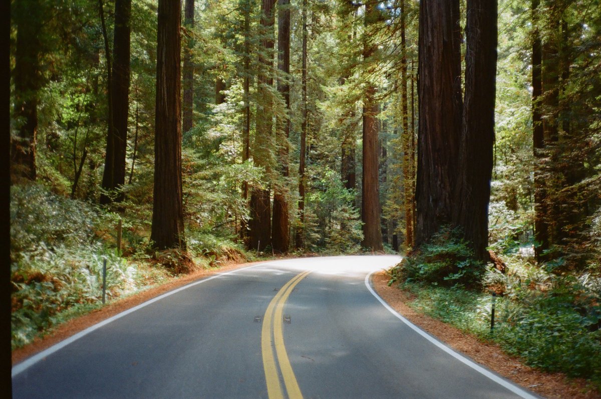 michaelboegl's tweet photo. California on 35mm film 🎞️ https://t.co/dCTvzvgMZG