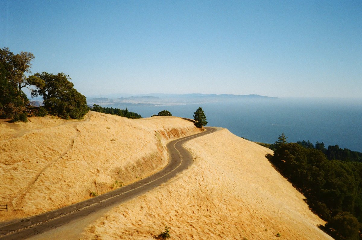 California on 35mm film 🎞️