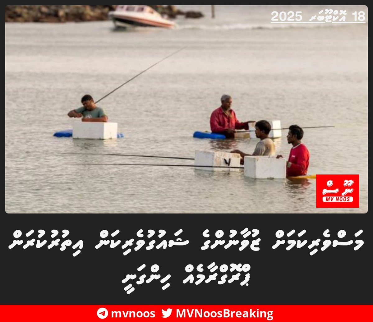 މަސްވެރިކަމަށް ޒުވާނުންގެ ޝައުގުވެރިކަން އިތުރުކުރަން ޕްރޮގްރާމެއް ހިންގަނީ
vaguthu.mv/news/1320044/