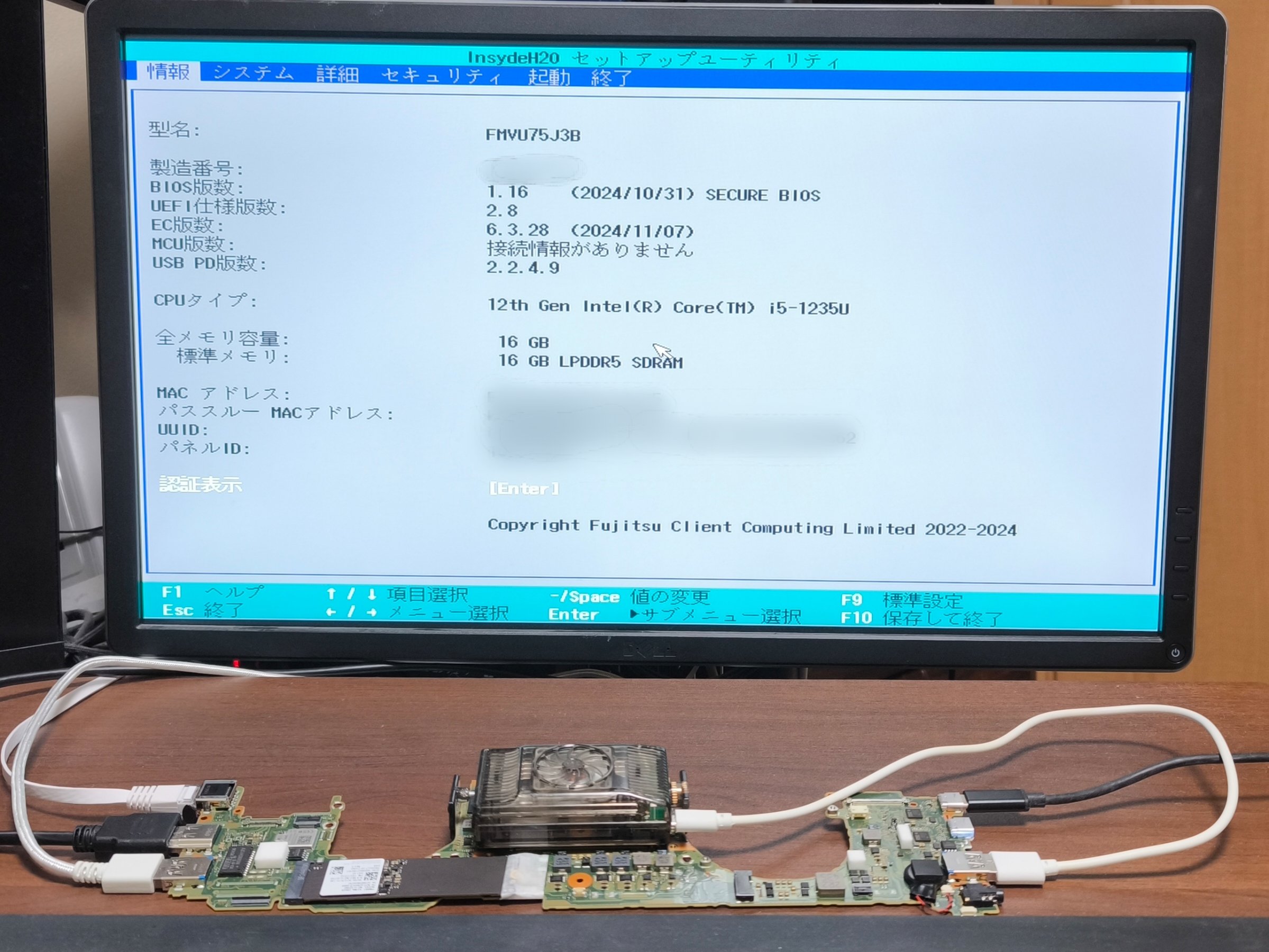 しゃこひﾟ on X: 