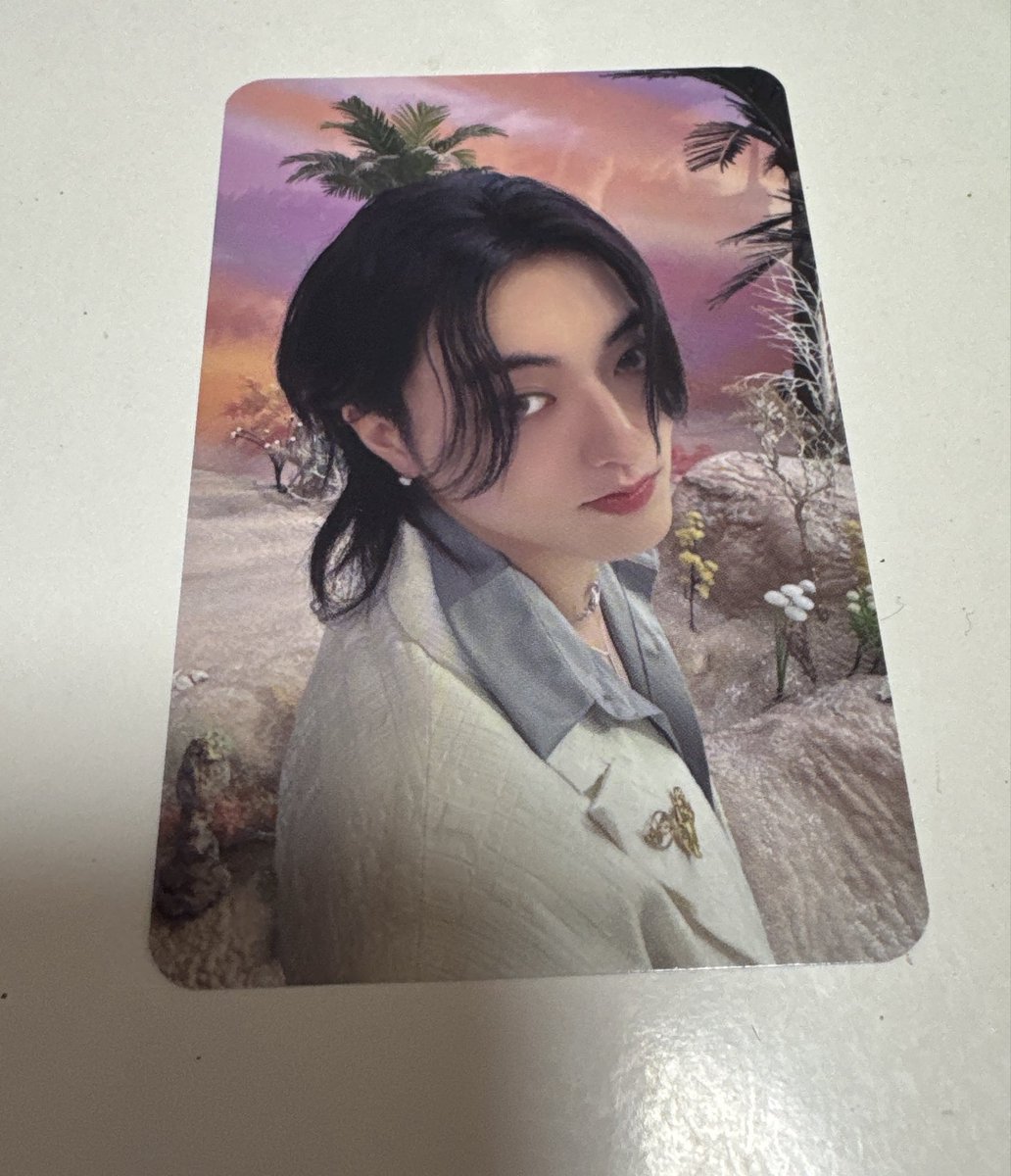 🐯🦋 tweet media