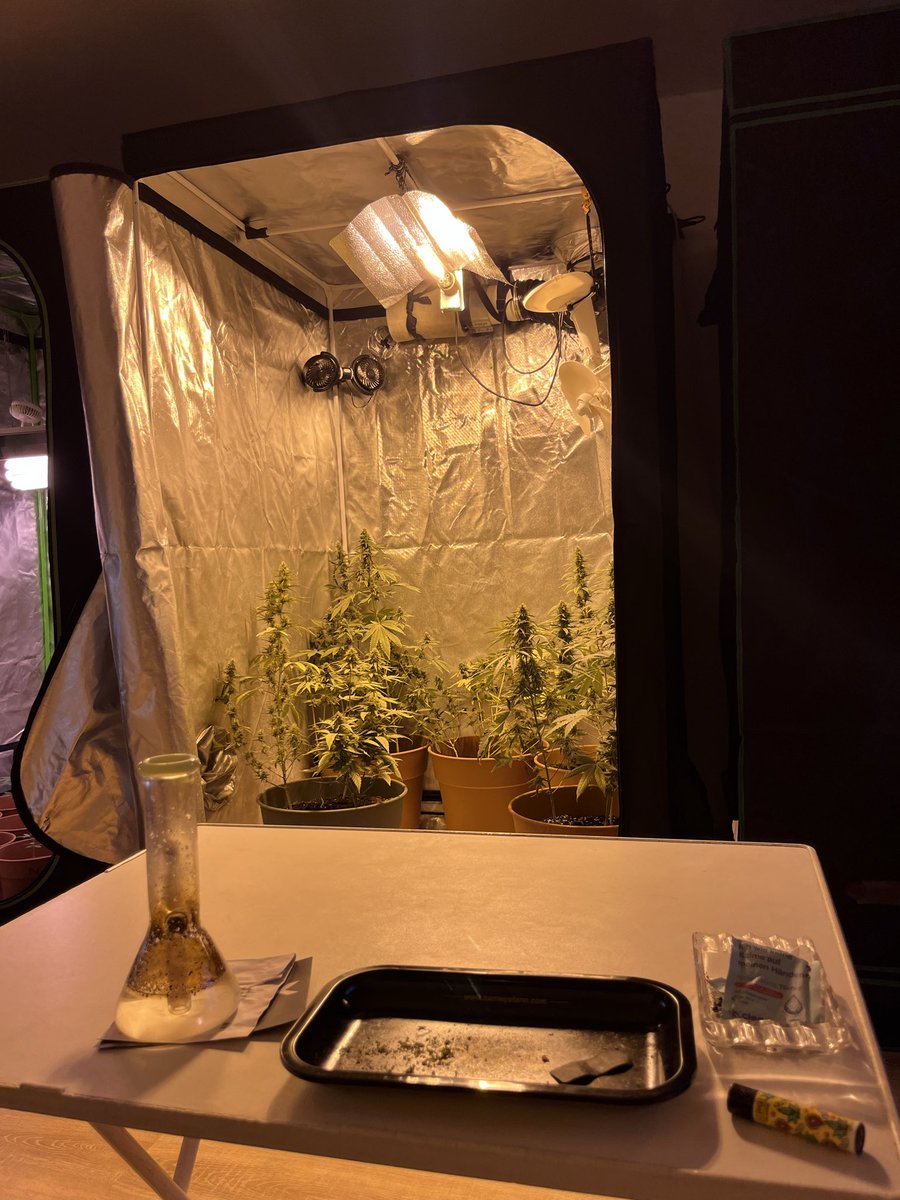 Waiting for the end…