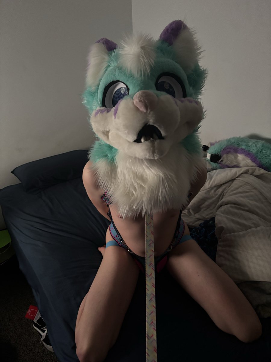 AetherfolfAD's tweet photo. This folf loves being collared~ https://t.co/iLb66J6O5l