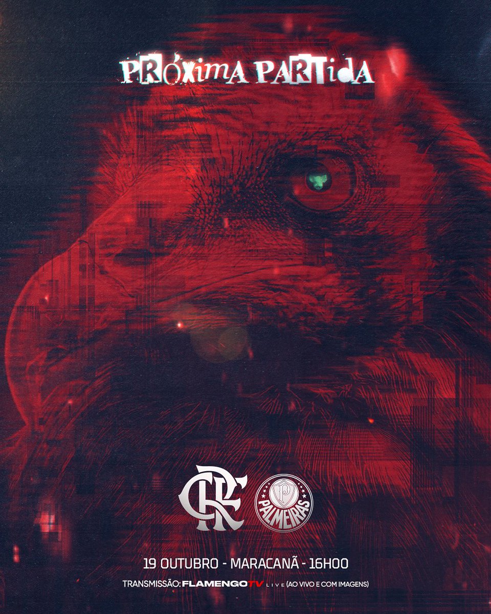 Flamengo. Domingo. 16h. Todos os caminhos nos levam ao Maracanã! 

🇧🇷 @brasileirao
🆚 Palmeiras 
🏟️ Maracanã

#PróximaPartida