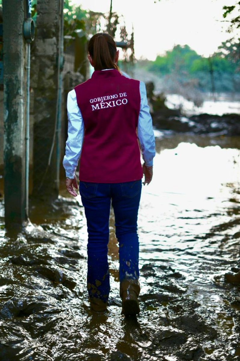 Gran foto
El mejor resumen de lo que hoy es el gobierno mexicano: sin rumbo, metido en el fango, dando la espalda y con una figurilla sin rostro propio como su dirigente.

Aplausos para el autor.
